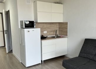 Сдаю квартиру студию, 19 м2, Екатеринбург, микрорайон Светлый, 12