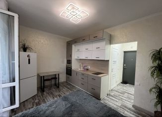 Квартира в аренду студия, 23 м2, Санкт-Петербург, Планерная улица, 97к2