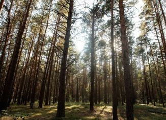 Продаю земельный участок, 900 сот., село Салаирка, Лесная улица