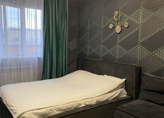 Сдам в аренду 1-комнатную квартиру, 45 м2, Адыгея, улица Димитрова, 3