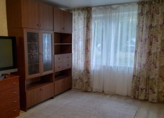 Продажа 2-ком. квартиры, 43.6 м2, Екатеринбург, Шишимская улица, 17, метро Чкаловская