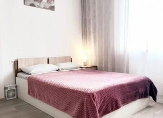 Сдается квартира студия, 28 м2, Пермь, улица Куйбышева, 109А