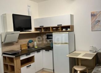 Продам квартиру студию, 26 м2, Екатеринбург, метро Чкаловская, улица Академика Парина, 38/7