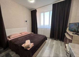 Квартира в аренду студия, 29 м2, Пермский край, улица Куйбышева, 109А