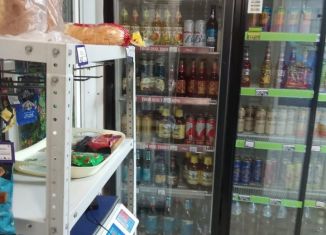 Сдам в аренду складское помещение, 30 м2, Ростов-на-Дону, улица Ерёменко, 60/1, Советский район