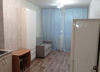 Сдам в аренду квартиру студию, 23 м2, Красноярск, улица Вильского, 34