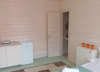 Сдам в аренду квартиру студию, 18 м2, сельский посёлок Новинки, СНТ Колос, 98