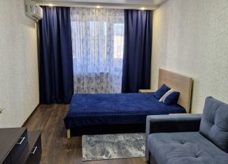 Сдача в аренду 1-ком. квартиры, 43 м2, Екатеринбург, Красный переулок, 4А