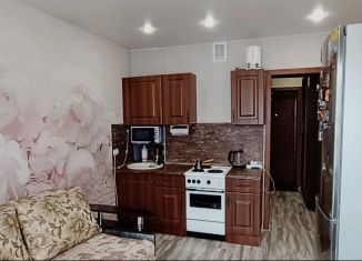 Продается квартира студия, 22 м2, Новосибирск, улица Виктора Уса, 13