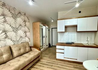 Сдаю в аренду квартиру студию, 24 м2, Сочи, улица Ленина, 298В/4, ЖК Касабланка