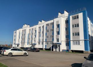 Продажа 1-ком. квартиры, 39 м2, село Булгаково, Арсенальная улица, 38