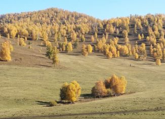 Продажа участка, 300 сот., Республика Алтай, Центральная улица