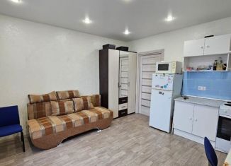 Квартира в аренду студия, 25 м2, Московская область, улица Морозова, 16