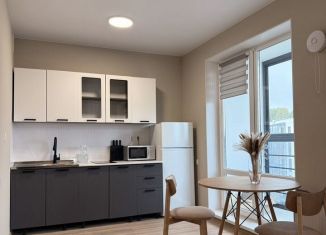 Сдается в аренду квартира студия, 34 м2, Карелия, улица Самуила Маршака, 7