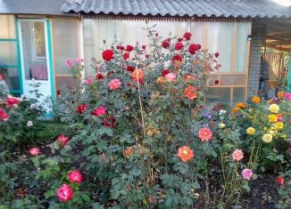 Продаю дачу, 66 м2, Белгородская область, СНТ Хрустальный Родник, 99