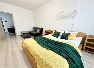 Сдаю однокомнатную квартиру, 60 м2, Свердловская область, улица Чапаева, 79