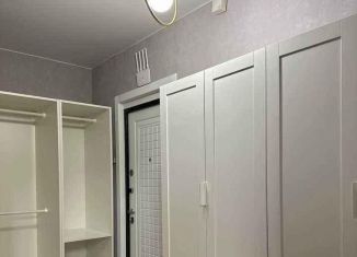 Однокомнатная квартира в аренду, 40 м2, Москва, улица Госпитальный Вал, 5с7, ЦАО