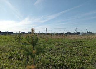 Продается земельный участок, 12 сот., деревня Елань