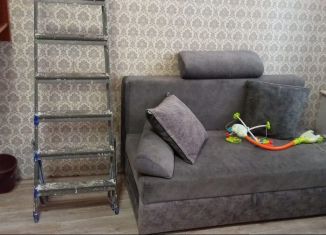 Квартира в аренду студия, 20 м2, Уфа, улица Рыбакова, 9