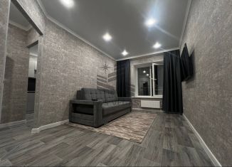 Аренда 1-ком. квартиры, 38 м2, Казань, улица Николая Ершова, 66В