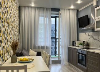 Сдается 1-комнатная квартира, 42 м2, Казань, улица Родины, 24В