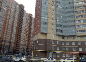 Продажа помещения свободного назначения, 206 м2, Мурино, Новая улица, 7