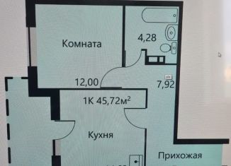 2-ком. квартира в аренду, 46 м2, Пермь, улица Докучаева, 23, Дзержинский район