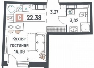 Продается квартира студия, 22.4 м2, Мурино, ЖК Авиатор