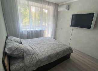 Сдается в аренду однокомнатная квартира, 30.4 м2, Казань, Даурская улица, 11