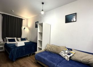 Сдается квартира студия, 18 м2, Санкт-Петербург, проспект Обуховской Обороны, 123А