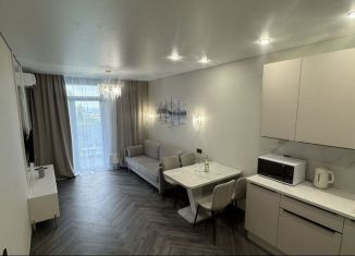 Сдаю в аренду 1-комнатную квартиру, 51 м2, Сочи, Ясногорская улица, 16/2, микрорайон Бытха