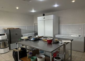 Аренда производства, 87 м2, Иркутская область, Байкальская улица, 250А