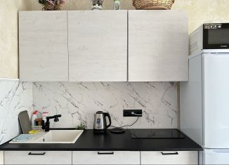 Сдается в аренду 1-комнатная квартира, 30 м2, Сочи, Полтавская улица, 21Ак1