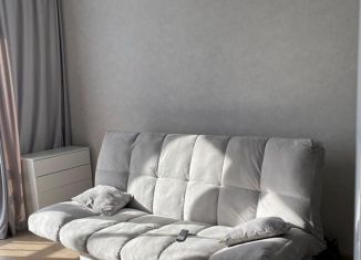 Сдам в аренду квартиру студию, 25 м2, Ижевск, улица Шишкина, 30