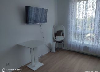 Аренда квартиры студии, 21.5 м2, Щербинка, улица Мостотреста, 10к1