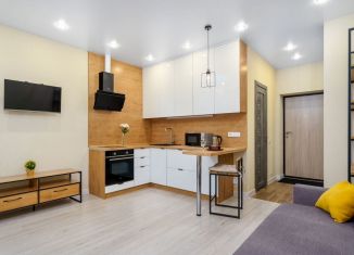 Продаю квартиру студию, 22.9 м2, деревня Кисловка, бульвар Николая Гумилёва, 4