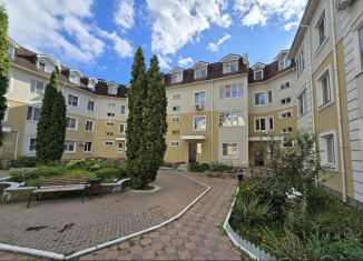 Продажа квартиры студии, 14.7 м2, деревня Бородино, Варшавское шоссе, 69, ЖК Европа