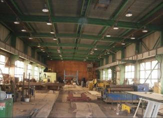 Продается производство, 21668.9 м2, Нижегородская область, территория СХТ, 9