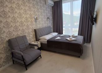 Однокомнатная квартира на продажу, 34 м2, Сочи, улица Калараша, 139