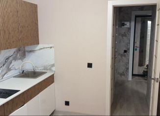 Сдам в аренду 1-ком. квартиру, 37 м2, Новосибирск, улица 9 Ноября, 95, Октябрьский район