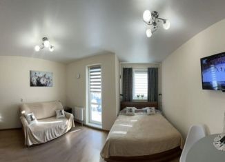 Сдача в аренду квартиры студии, 30 м2, Карелия, улица Попова, 11