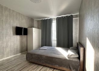 Однокомнатная квартира в аренду, 38 м2, Казань, проспект Победы, 139Ак2