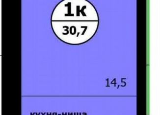 Продается квартира студия, 30.7 м2, Красноярский край