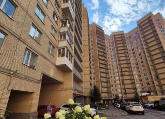 Двухкомнатная квартира в аренду, 48 м2, Санкт-Петербург, Туристская улица, 30к1