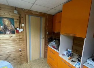 Дача на продажу, 99 м2, Татарстан, садоводческое некоммерческое товарищество Солнечный № 1, 389