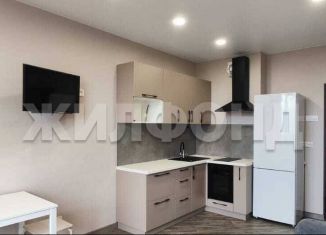 Продам однокомнатную квартиру, 43.4 м2, Новосибирск, ЖК 1-й на Рябиновой, Рябиновая улица, 14/1