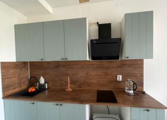 Сдам 1-ком. квартиру, 33 м2, Краснодарский край, улица Мурата Ахеджака, 3к1