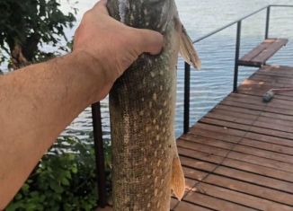 Сдается дом, 40 м2, Ростовская область, Песочная улица, 55