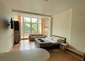 Сдаю в аренду квартиру студию, 45 м2, поселок городского типа Форос, Северная улица, 43