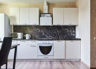 2-комнатная квартира на продажу, 68.9 м2, село Раздольное, Тепличная улица, 65к2